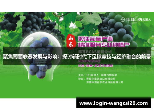 聚焦葡萄联赛发展与影响：探讨新时代下足球竞技与经济融合的前景